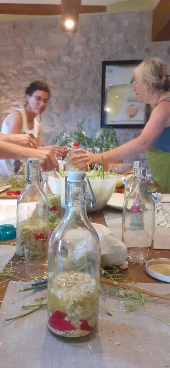 Agroturismo Mas Vilar, feel at home - Housity