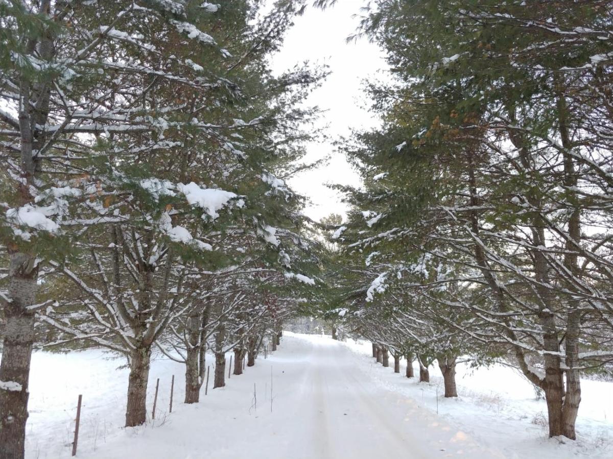 Spacious country retreat close to town and nature, Sylvana Farm VT - Housity