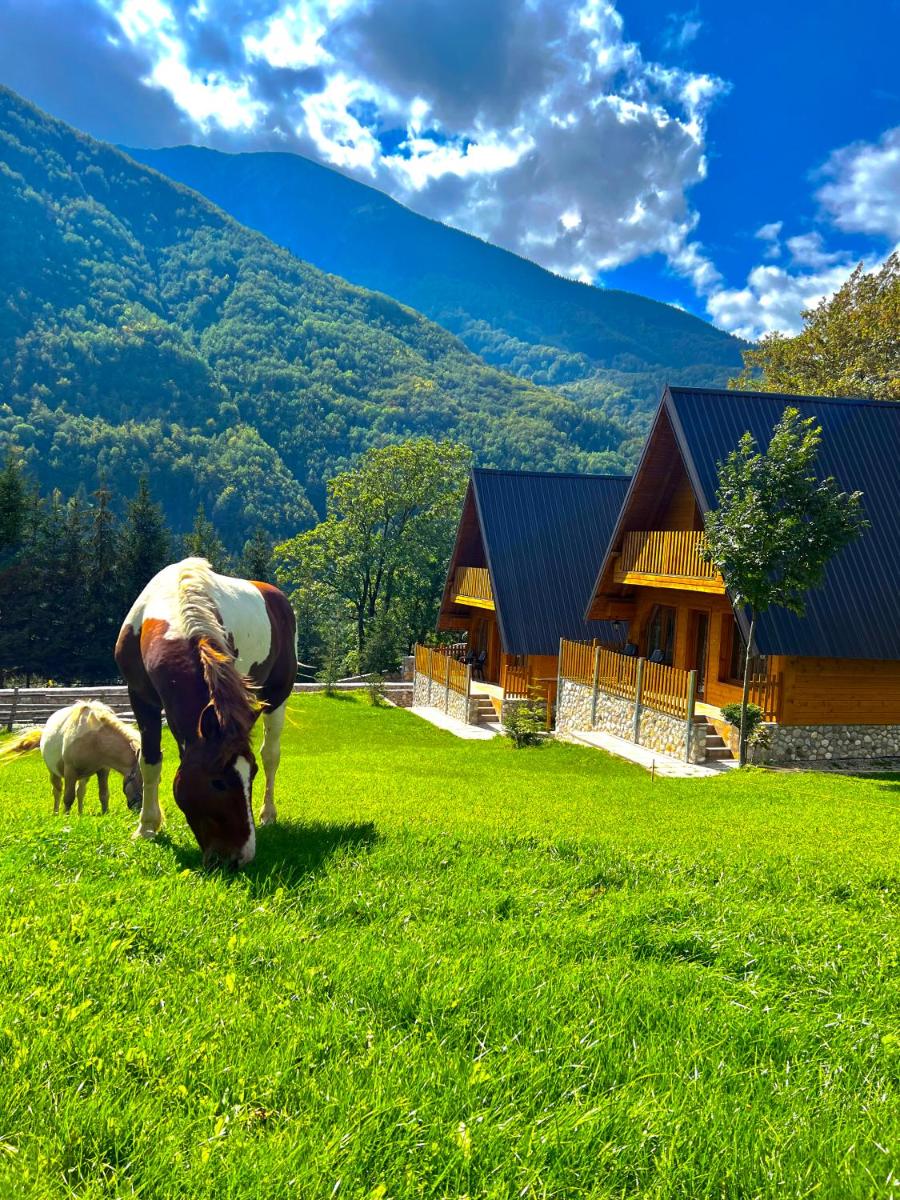 Villa Dardania - Housity