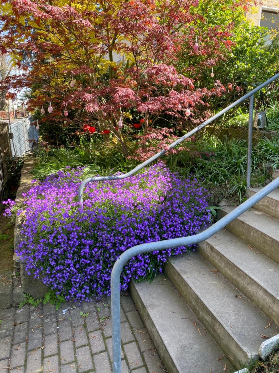 Apartment am HohenRand Dresden Leubnitz - Housity