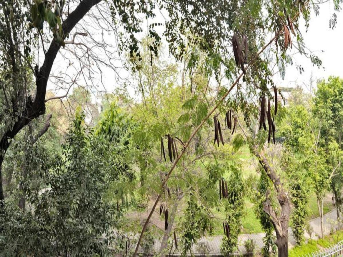 Suitetrails - Haveli Hauz Khas
