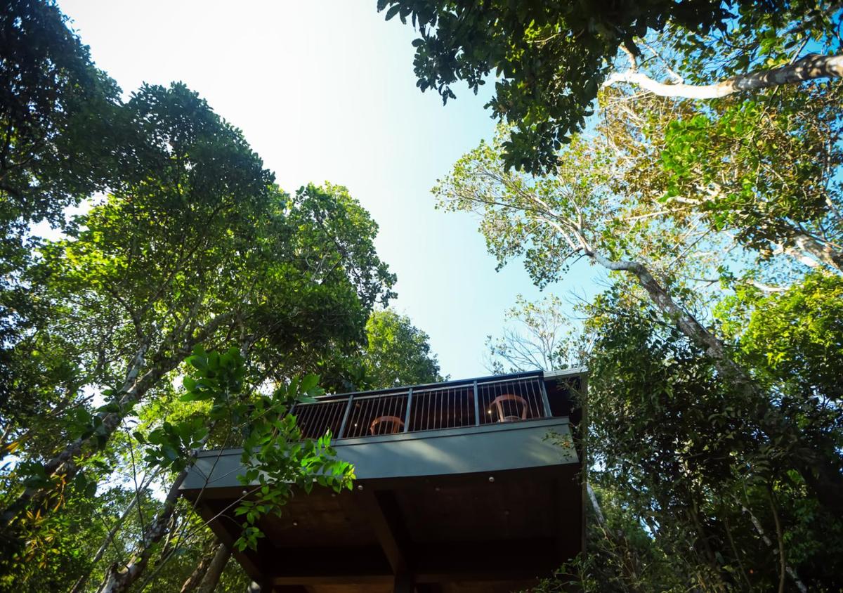 Chembarathi Wayanad Boutique Resort - Housity