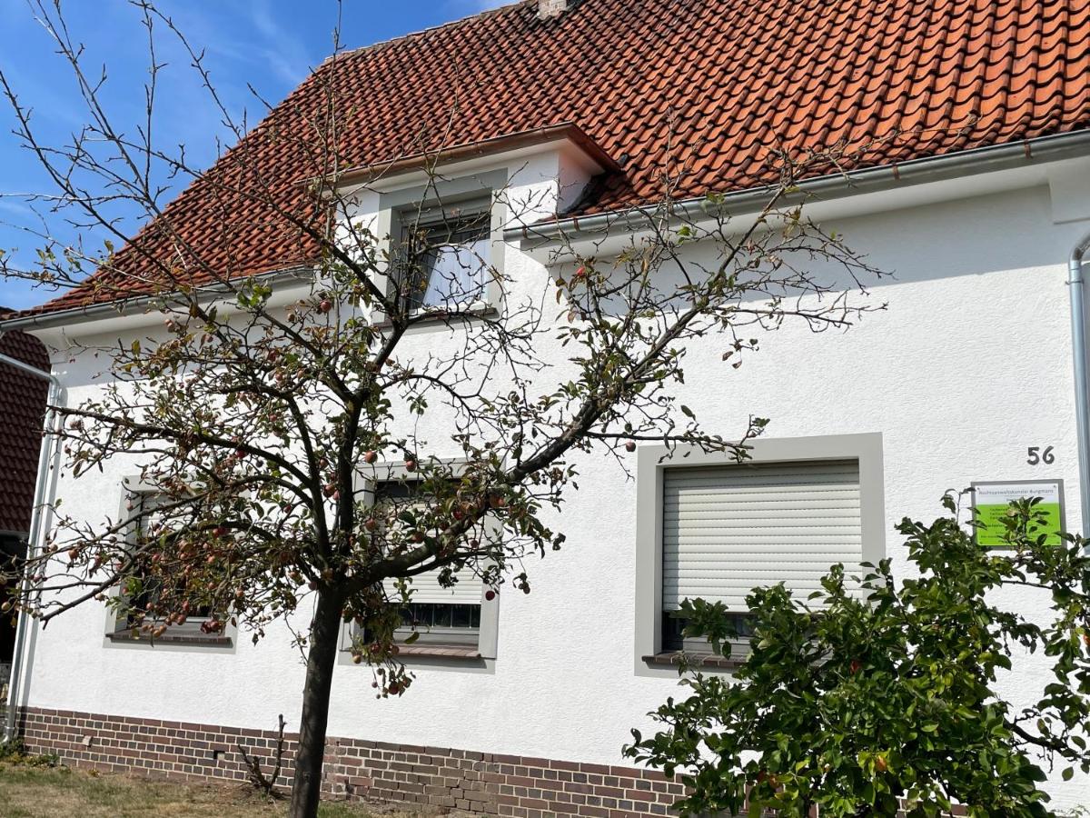 Helles, freundliches Doppelzimmer - Housity