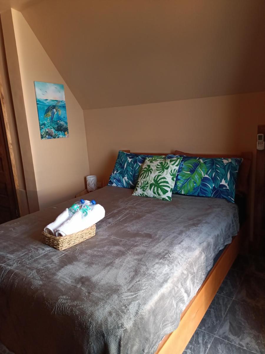 Portofino Homestay - Housity