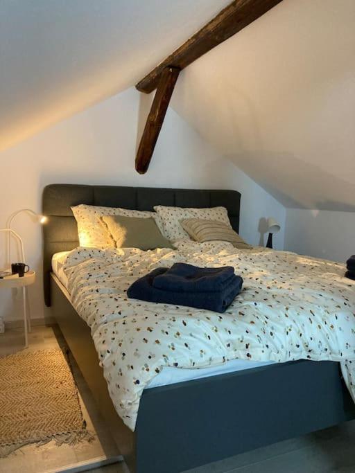 CANDY LOFT - Housity