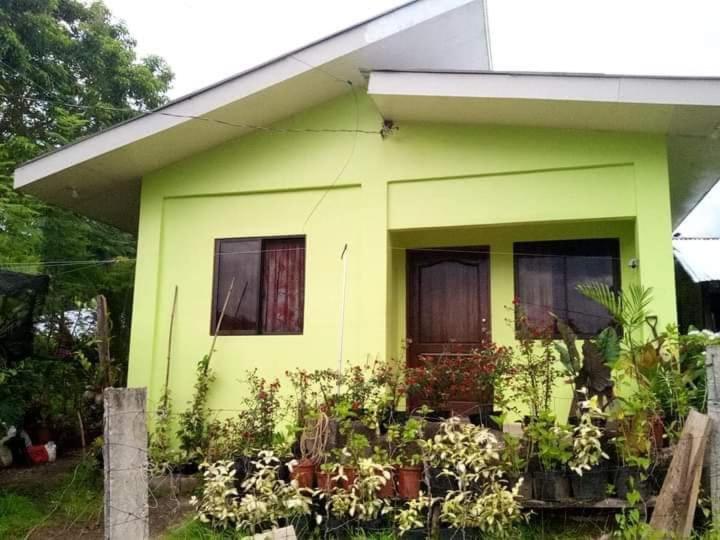 Little bridges mini bar and rooms - Housity