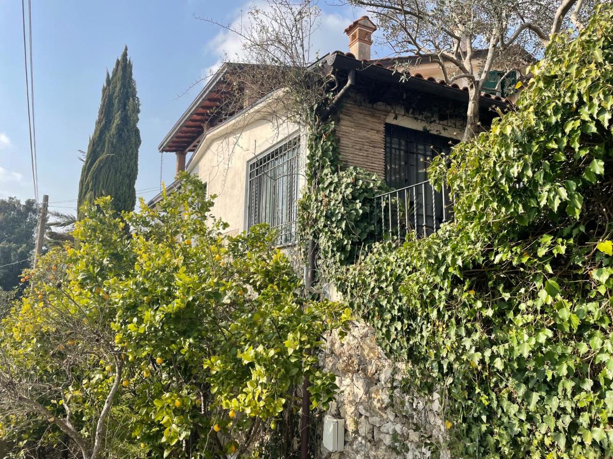 LILIUM HOUSE ARCE - Housity
