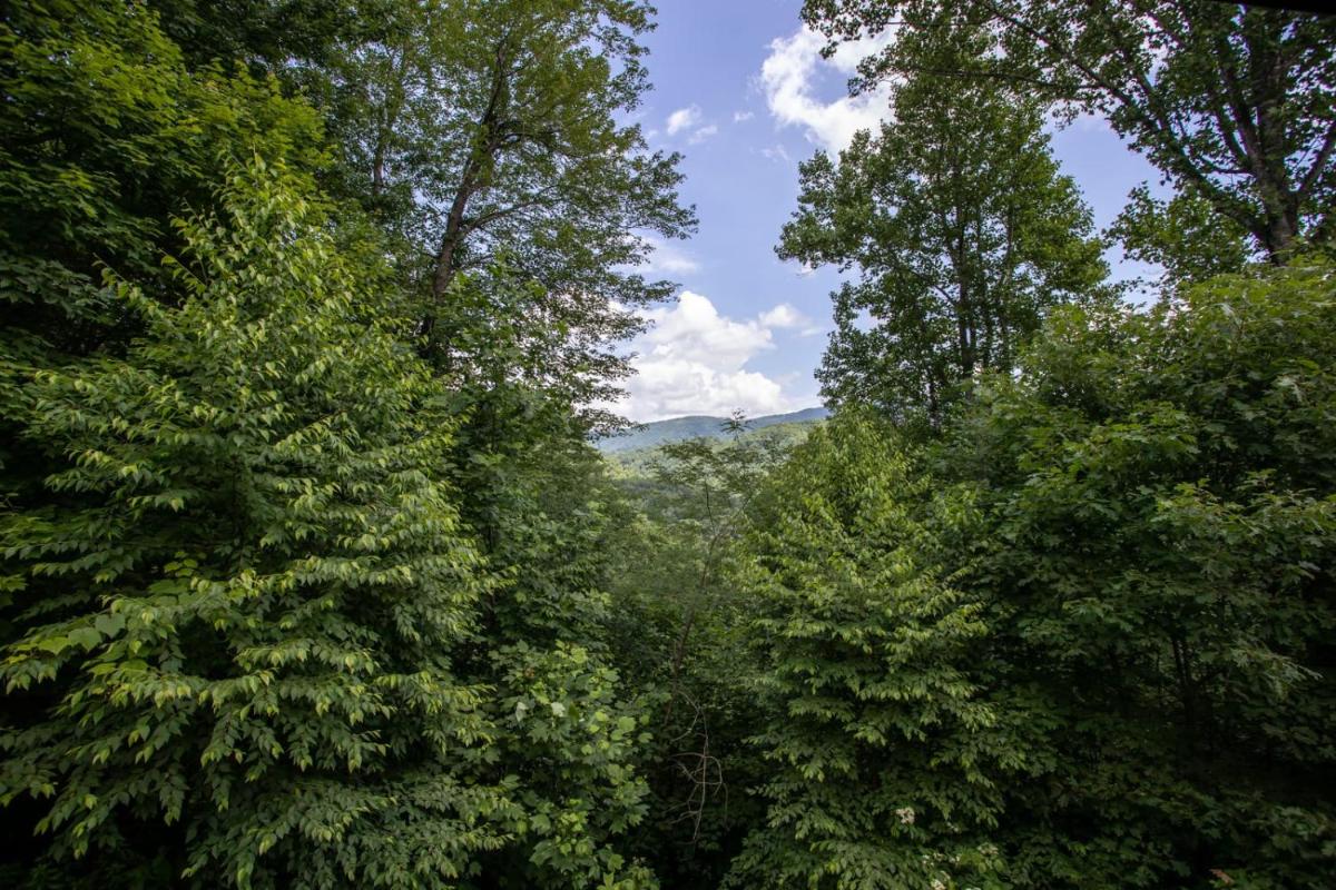 Willow Valley View - Housity