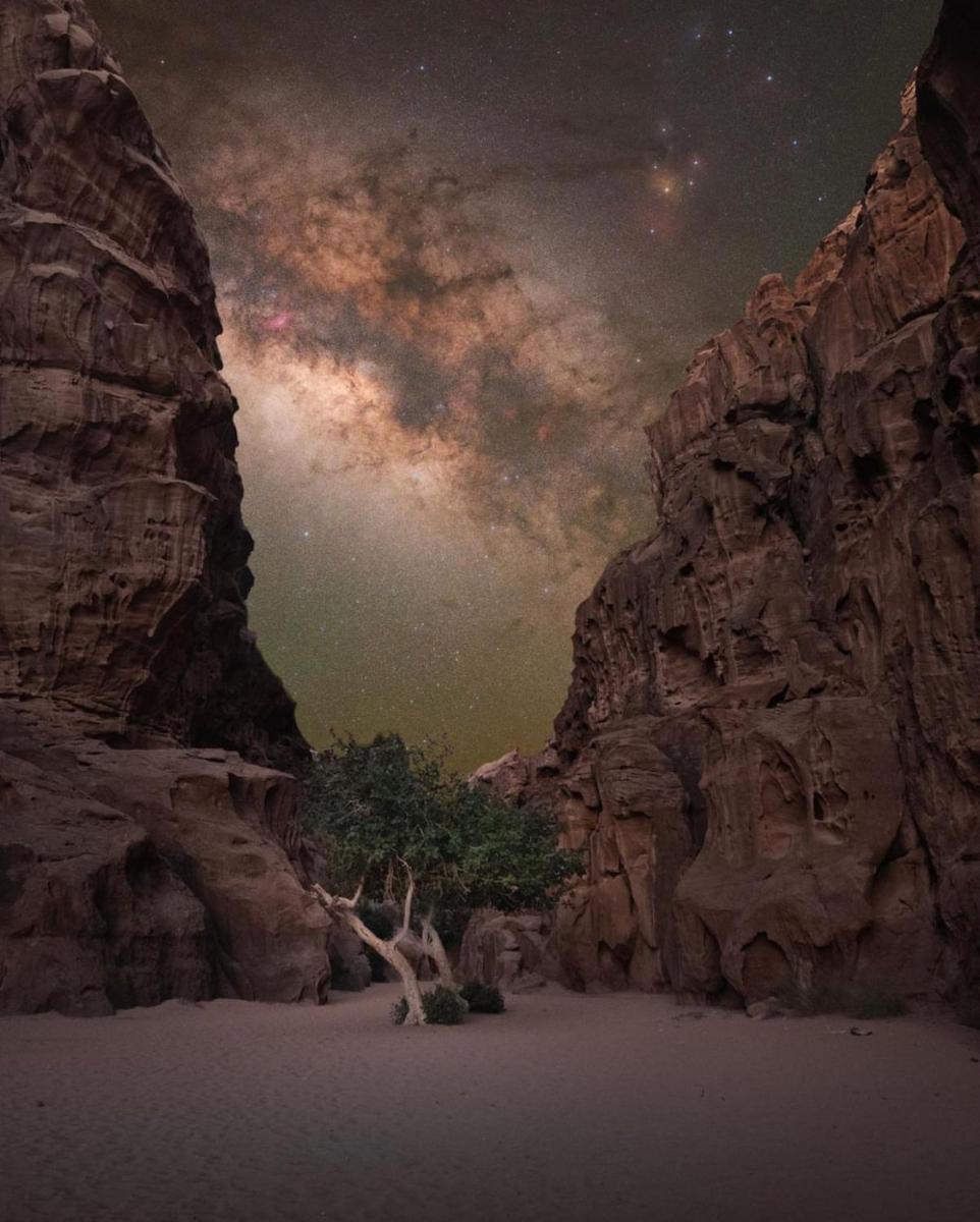 Wadirum Zeid camp - Housity