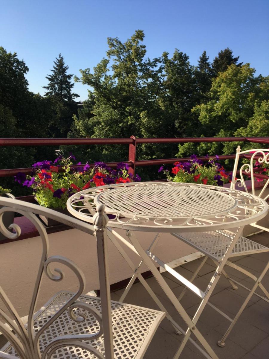 Apartmá v srdci Poděbrad - Housity