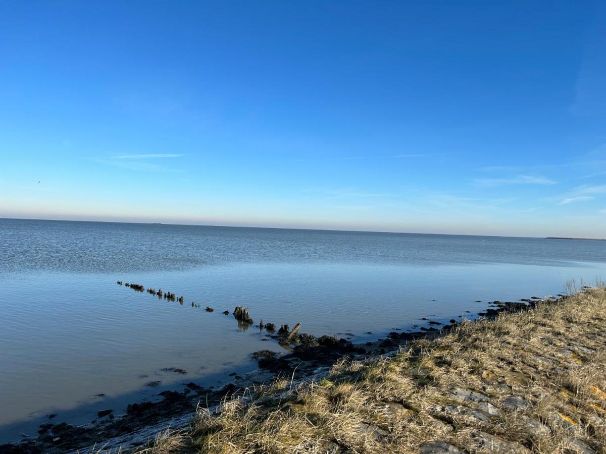 Villa Nieuwland B&B - Housity