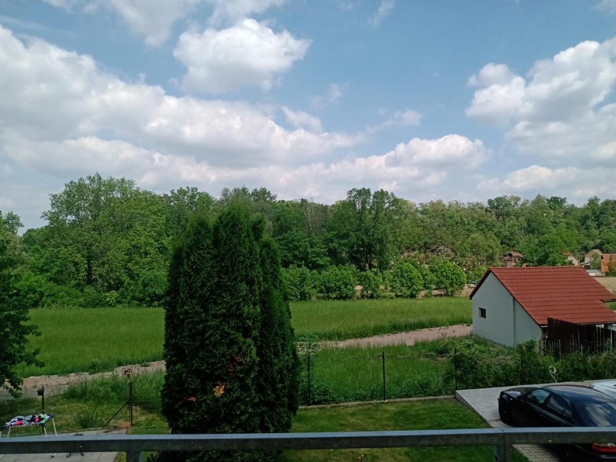 Amazing apartment Prague-Pruhonice - Housity