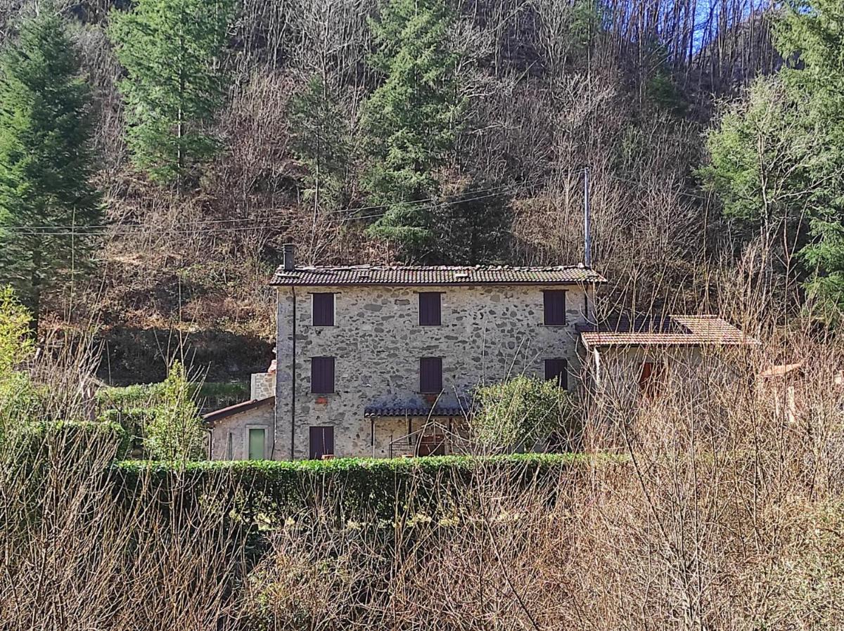Casa Vacanze IL BOSCACCIO 