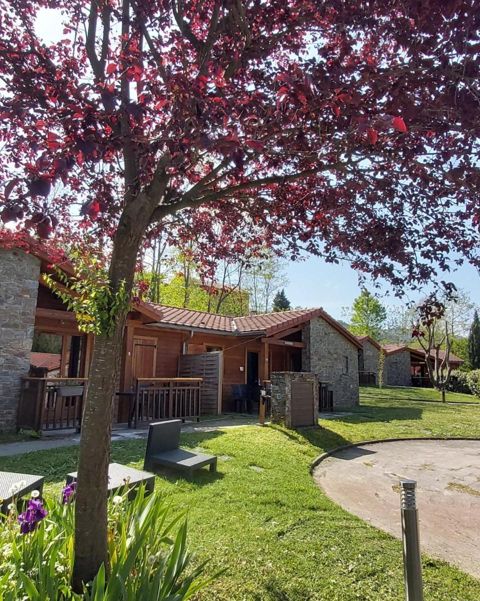 Le Hameau du Comté de Foix - Housity