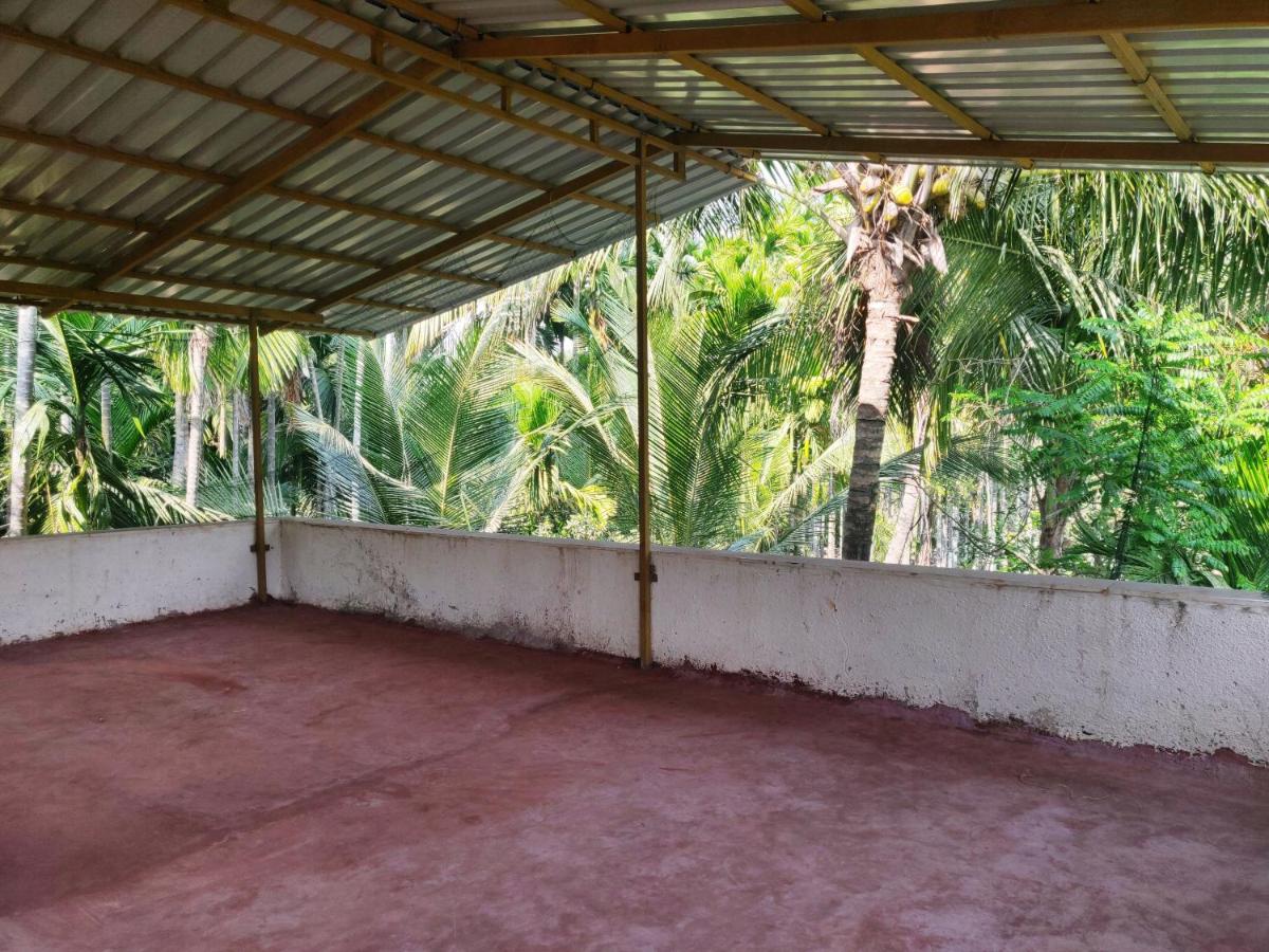 Walk to the BEACH! Experience organic farming - Housity