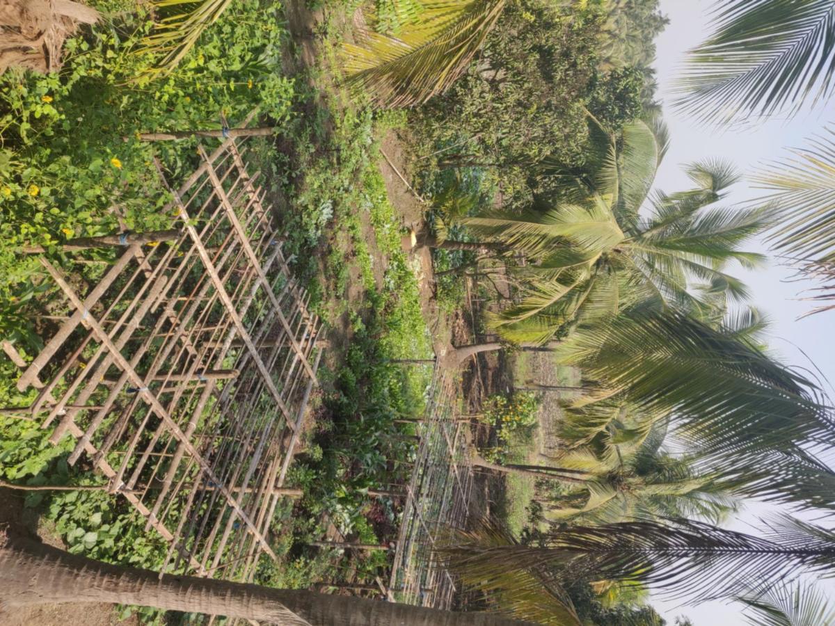 Walk to the BEACH! Experience organic farming - Housity