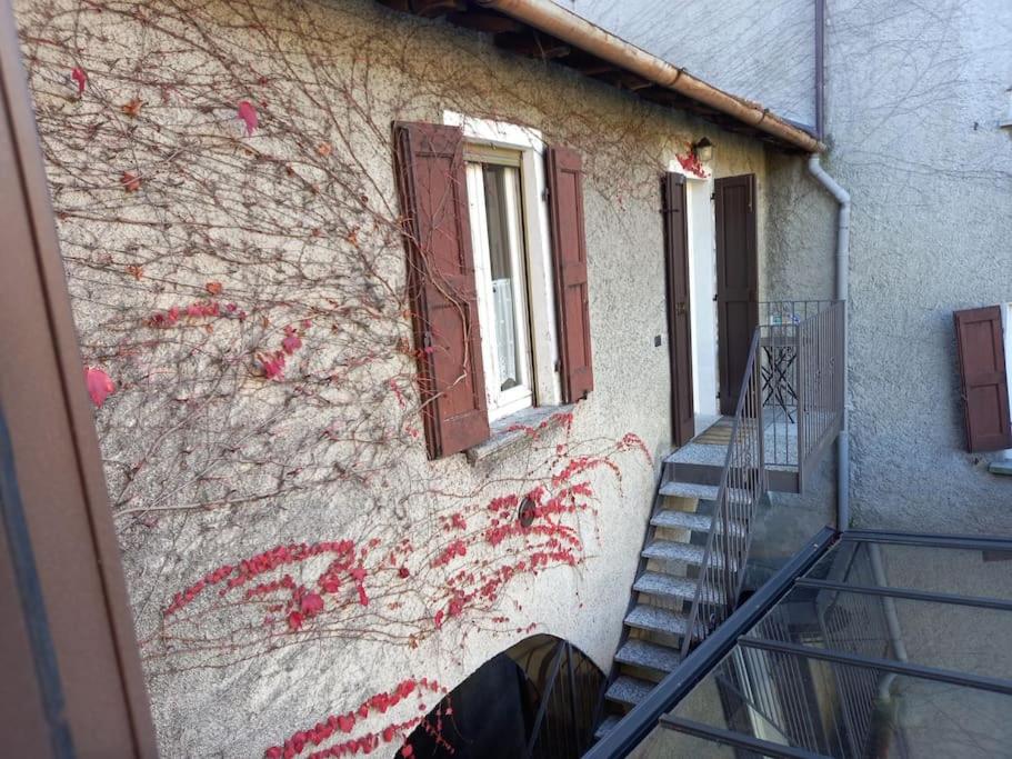 The Ivy House in the Castle - Housity