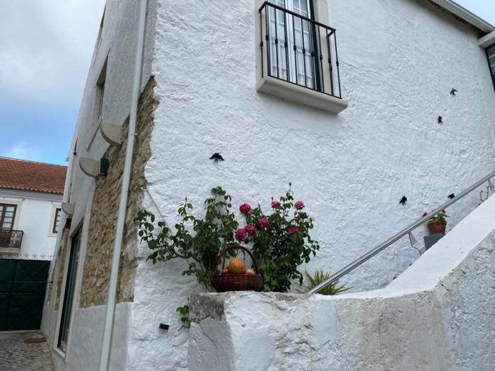 Casinha da Avó Rosário - Housity