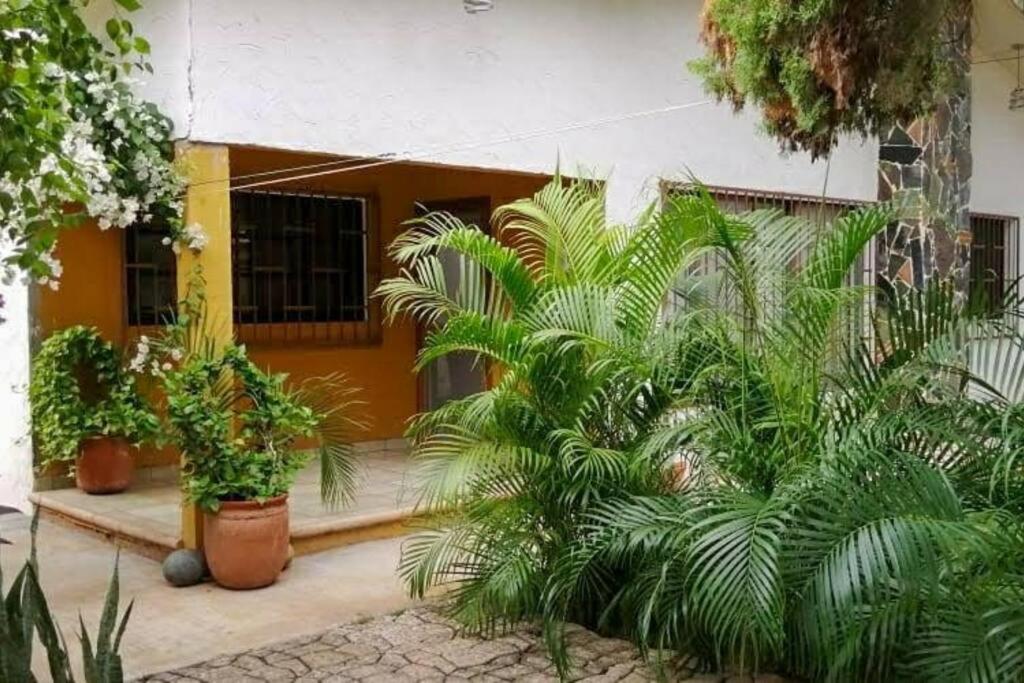 Casa de Mamá Nico - Housity