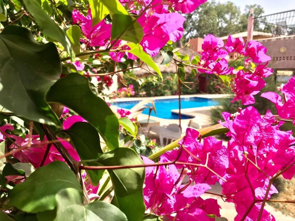 HÔTEL LE DJIOSFALA miroir de la Terranga - Housity