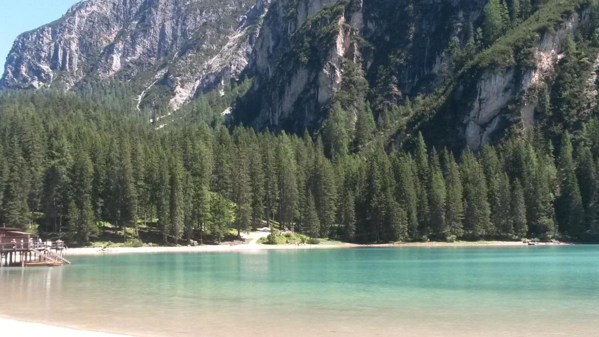 Margiolà Dolomiti - Housity