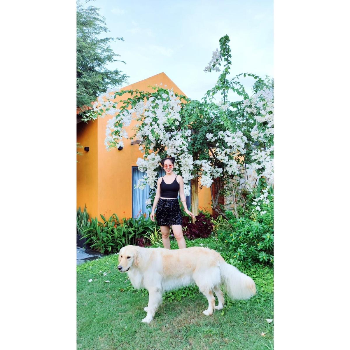 Lotus Beach House - Housity