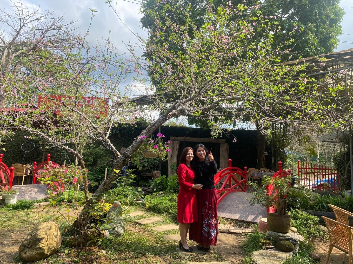 Maison Teahouse homestay - Housity