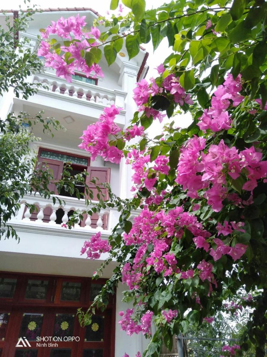 Nhà nghỉ Bolero - Housity