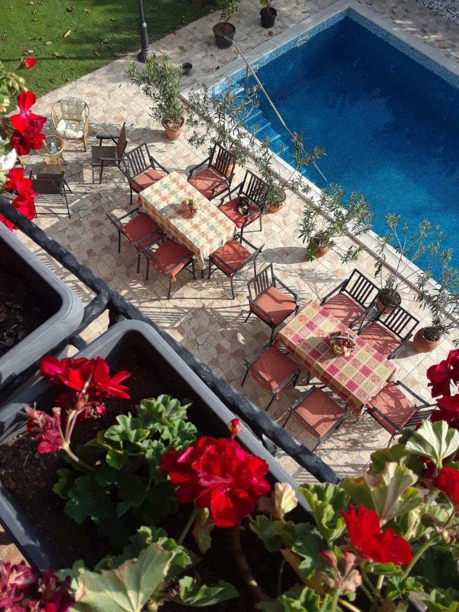 Villa Diana Apartments - Housity