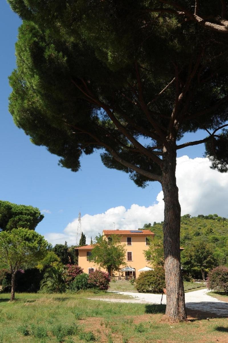 Villa Boldrini b&b - Housity