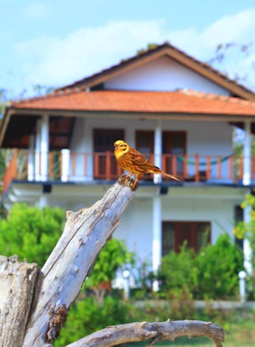Pearl Cave Cabanas & Resturant - Housity