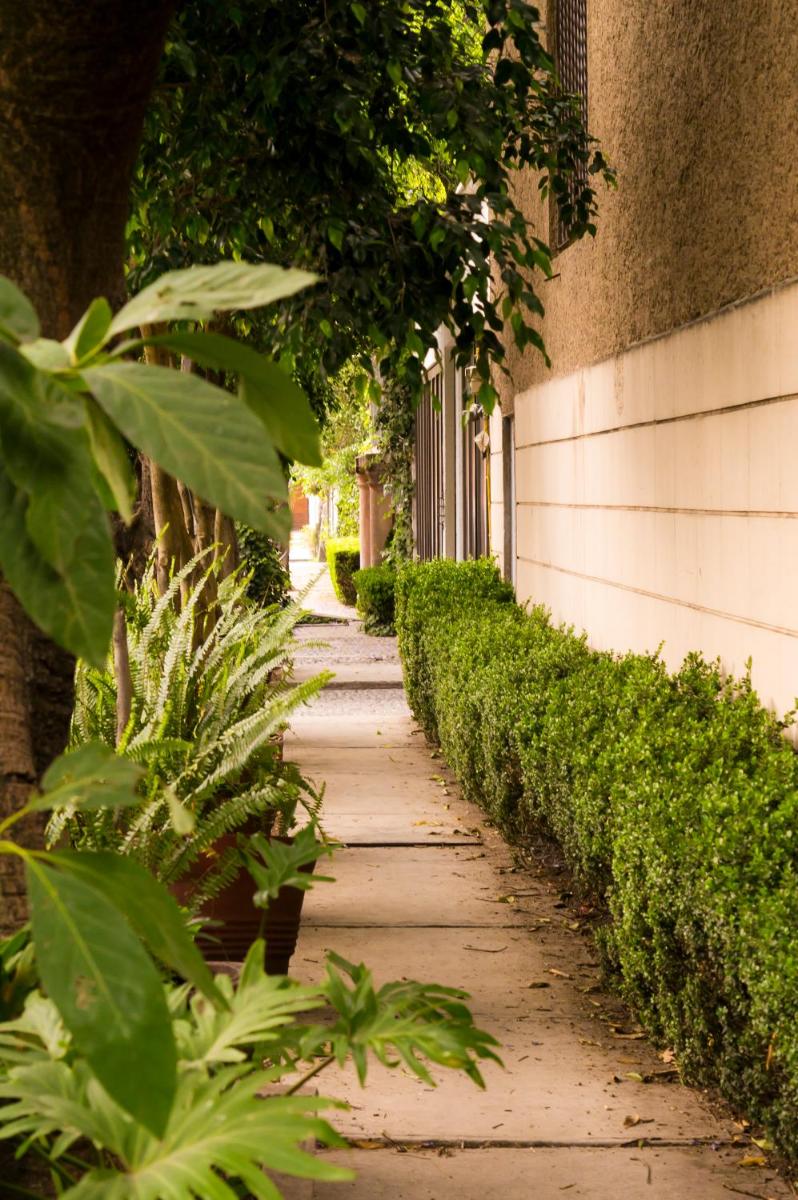 Suite 1-A Monasterio Garden House Welcome to San Angel - Housity