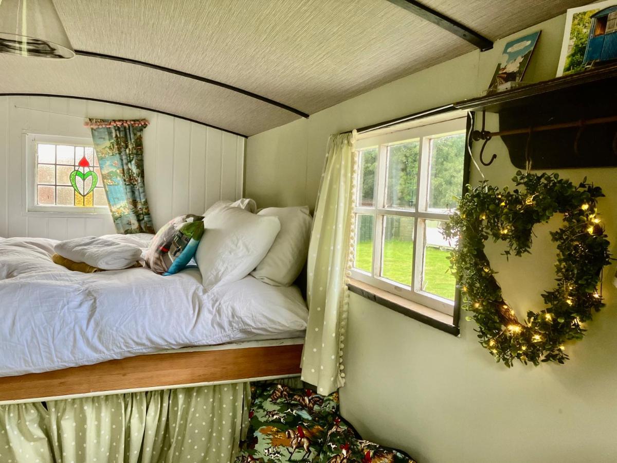 Shepherds Hut, Pickering centre, Glamping hidden meadow - Housity
