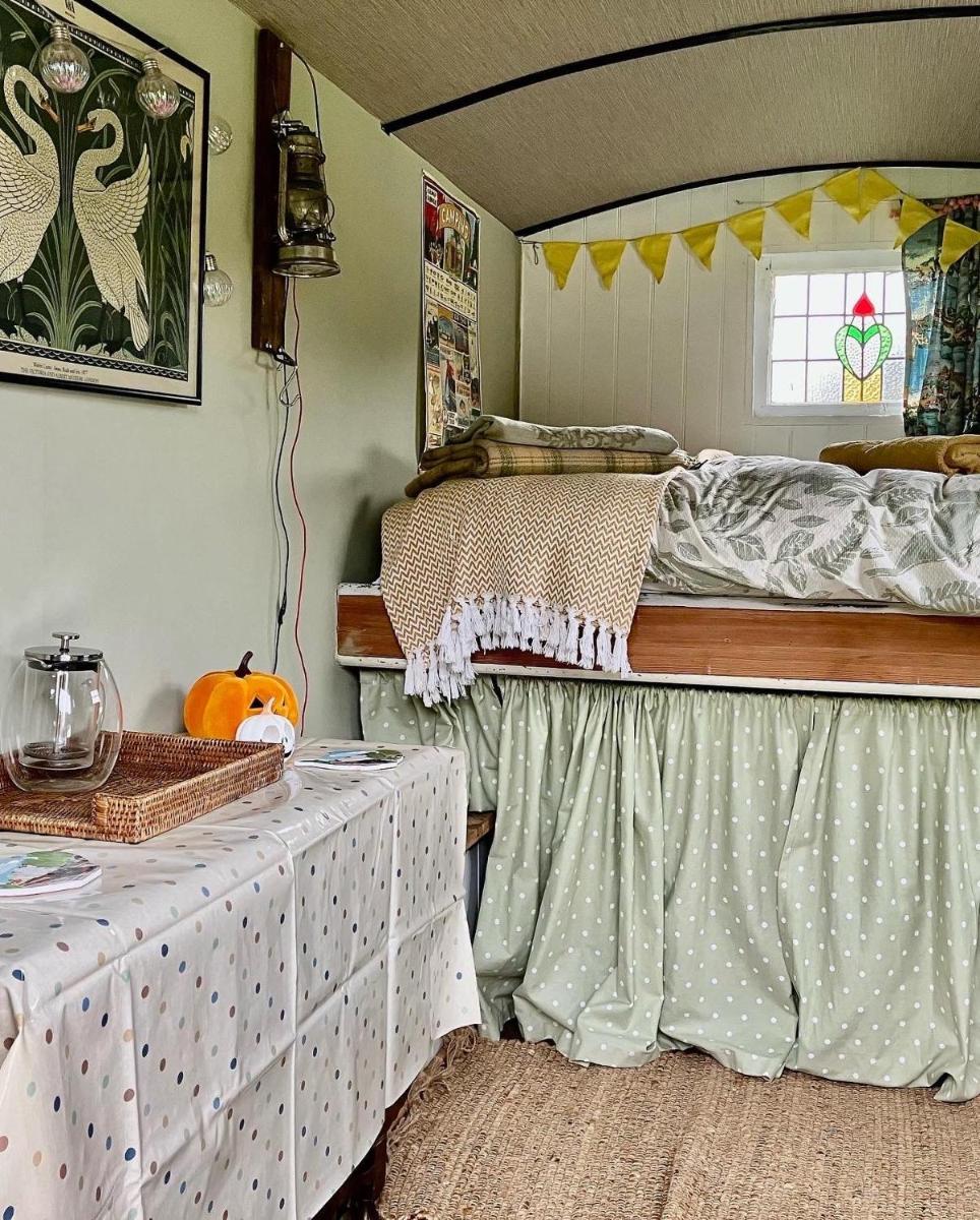 Shepherds Hut, Pickering centre, Glamping hidden meadow - Housity