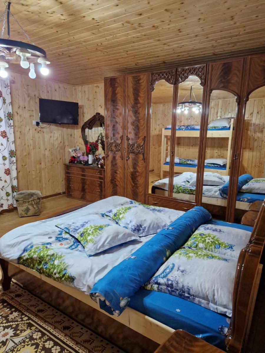 Casa Gemenelor - Housity