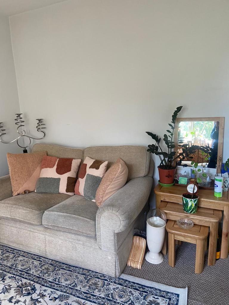 Cozy home - Housity
