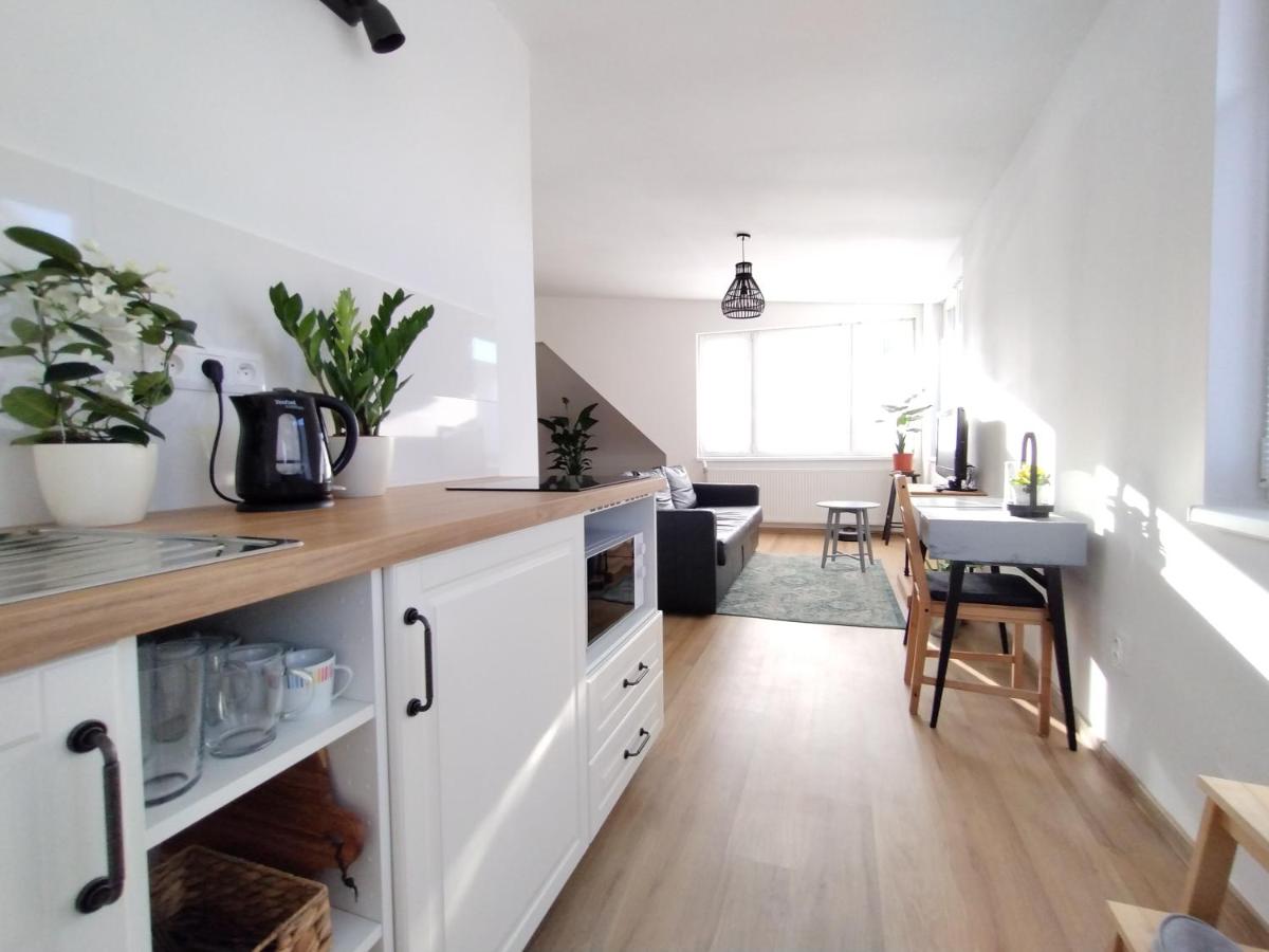 Attic apartment Catnip - Housity