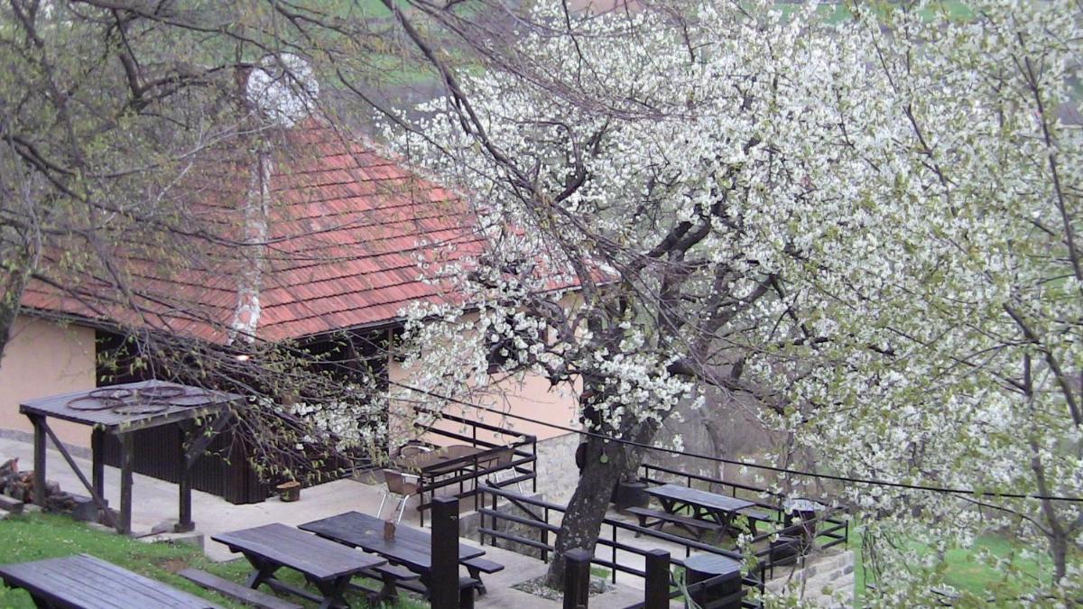 Holiday Home Vila Kikovi - Housity