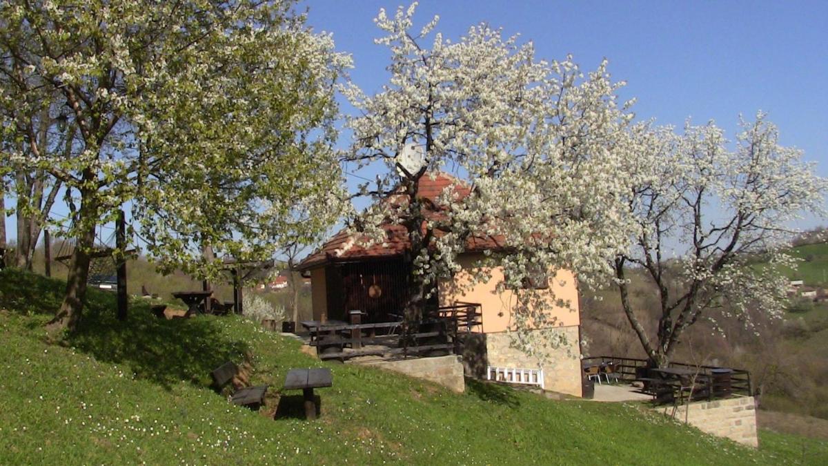 Holiday Home Vila Kikovi - Housity