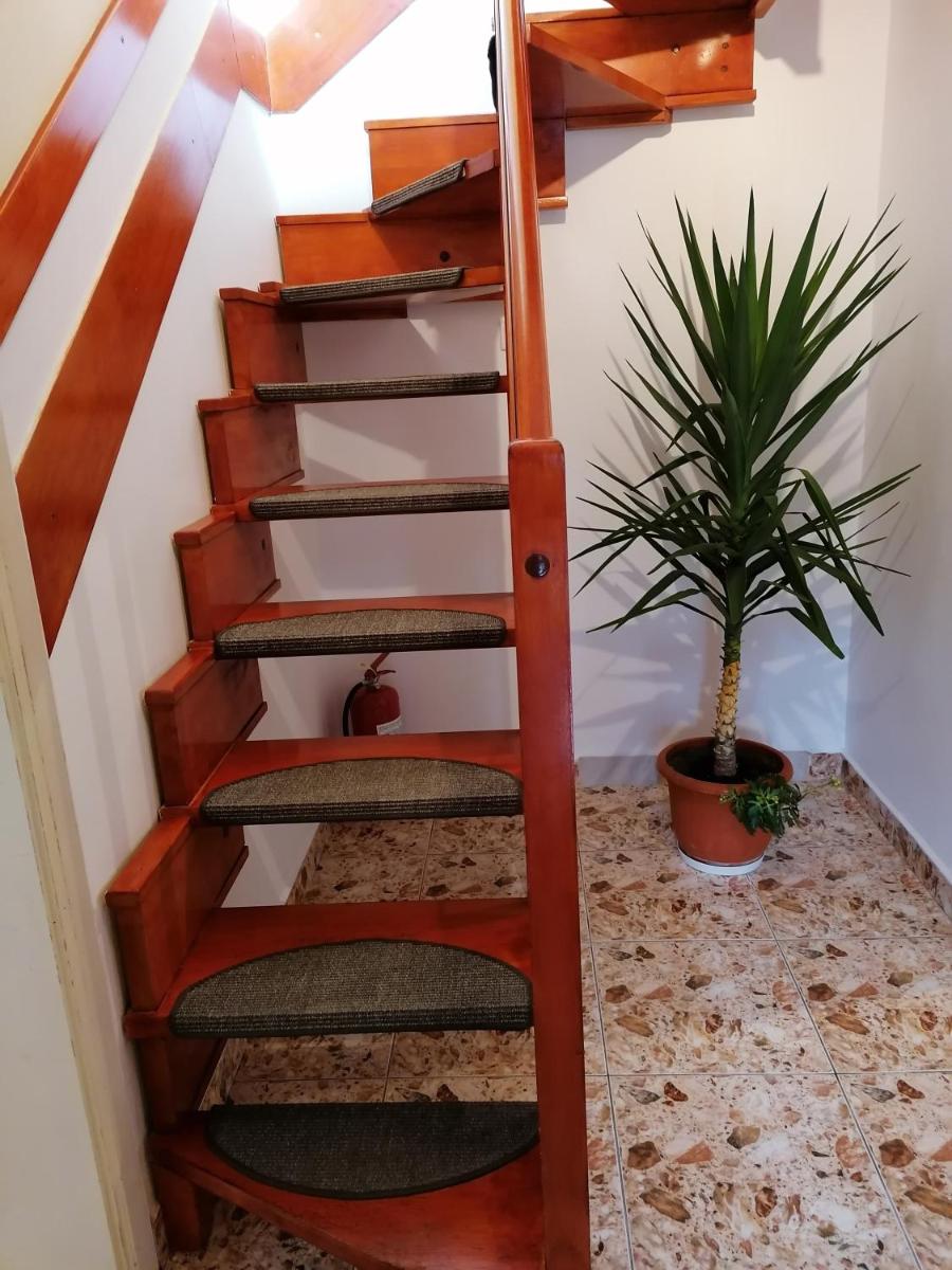Pensiunea Ca La Mama Acasa - Housity