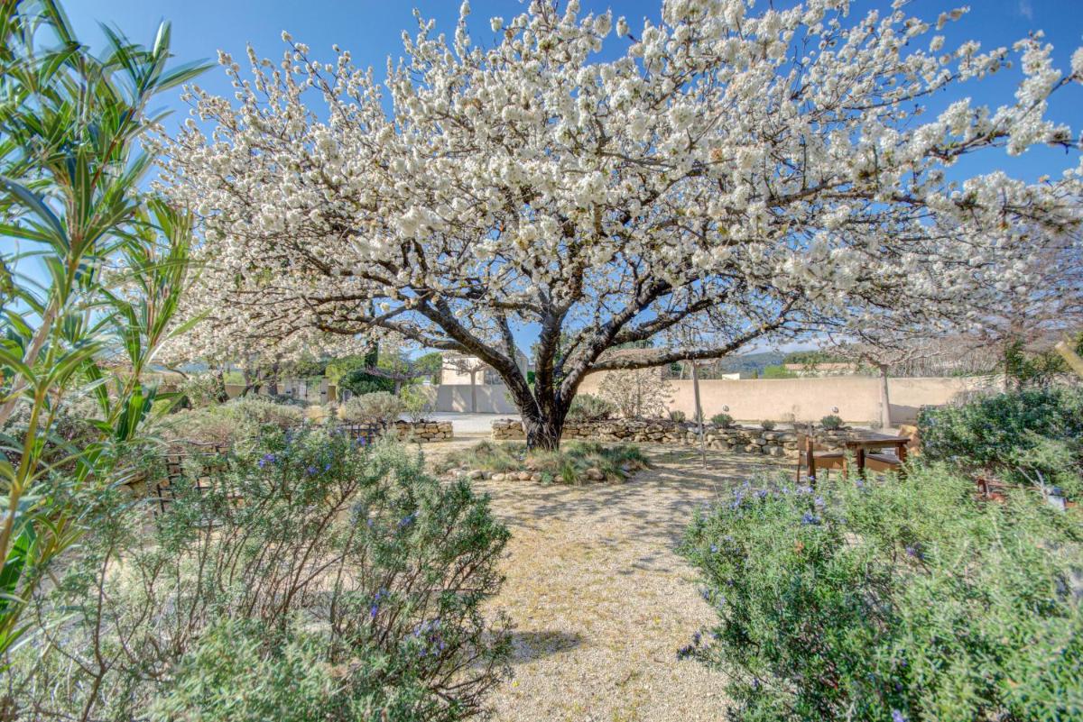 Jardin de l'établissement Hotel Bastide & SPA - Villa de Lourmarin