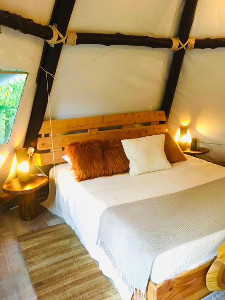Tribu EcoHostal - Housity