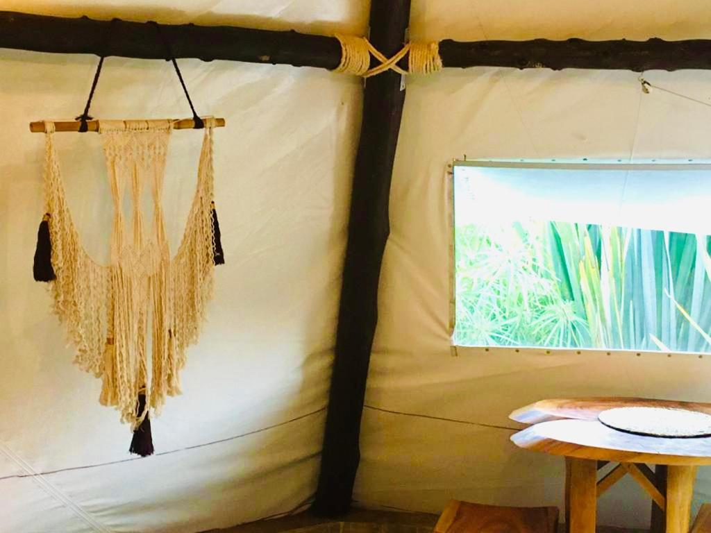 Tribu EcoHostal - Housity