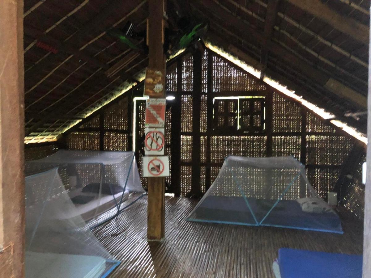 Little Nomads eco-guesthouse - Housity