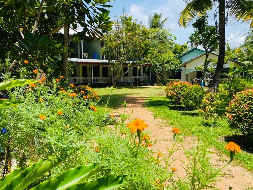 Coconut Grove - Midigama - Housity
