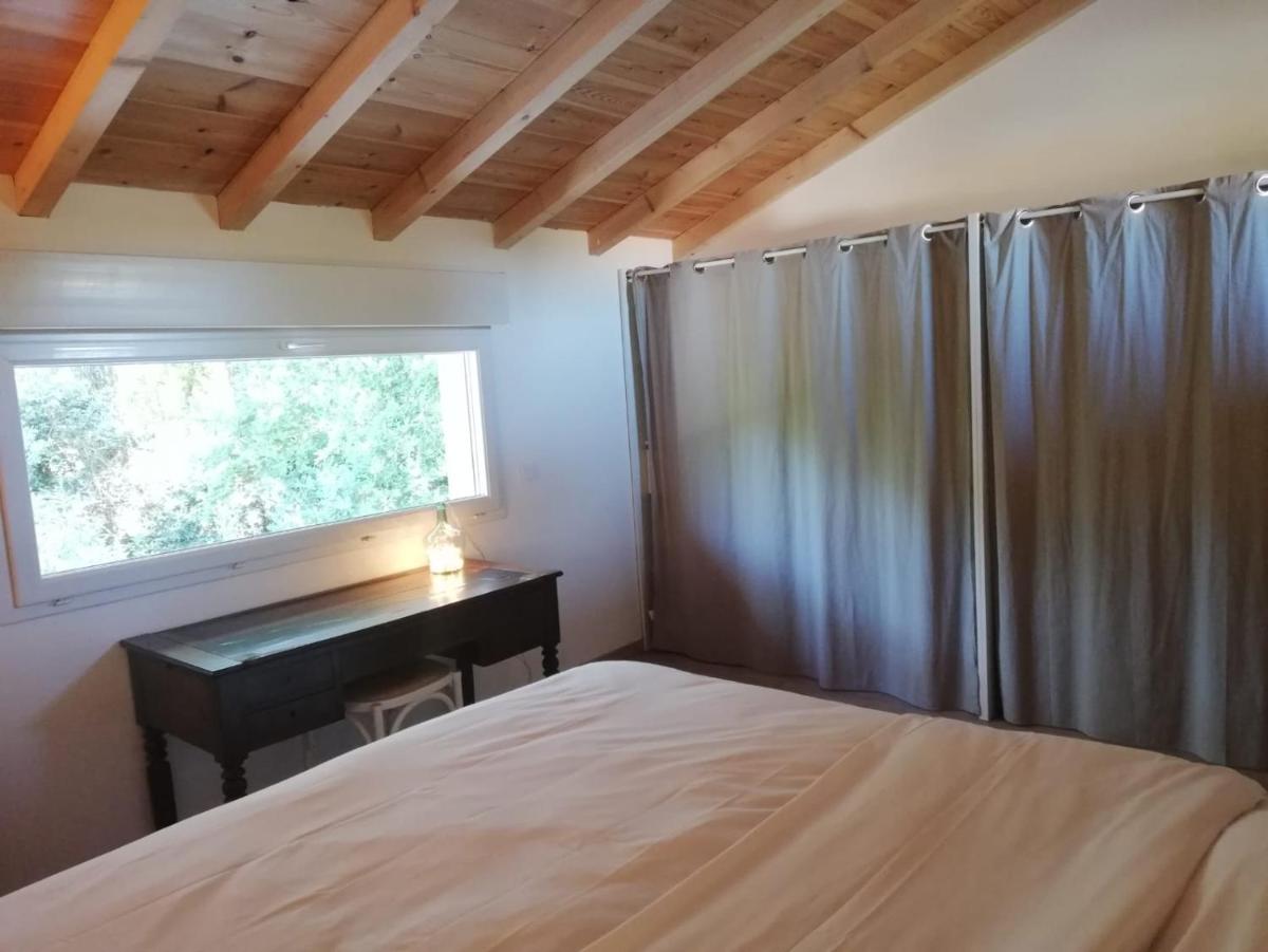 Gîte 4 personnes vue sur les pins proche de la Dune du Pilat, entre lac, Bassin et plages océanes - Housity