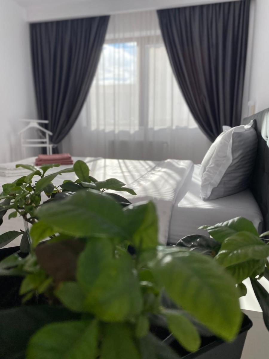 Suitetrails - Apartament Terra