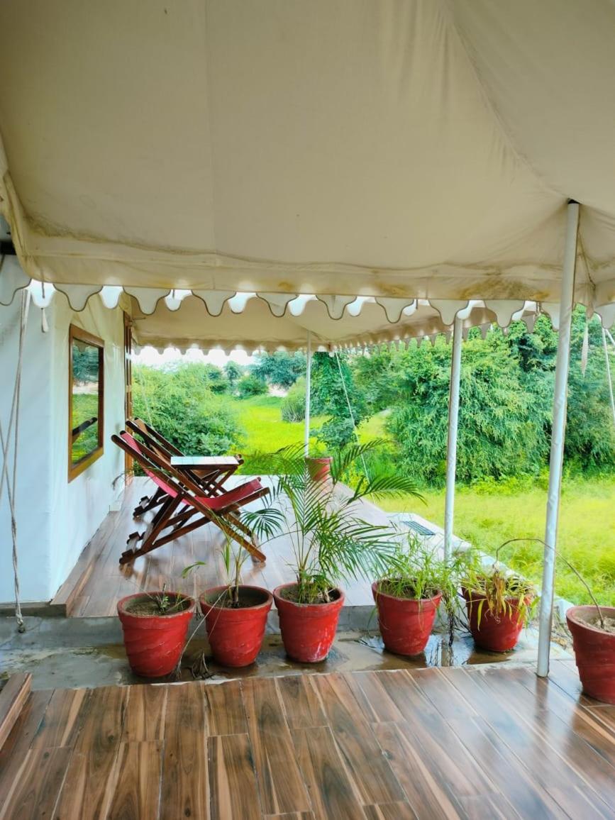 Panthera Pardus Safari Lodge - Housity