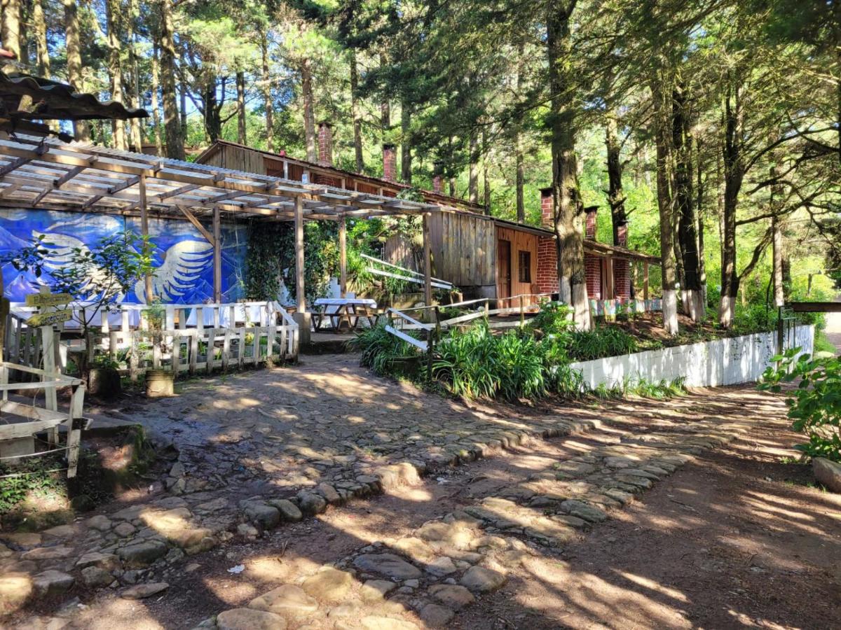 Hotel de Montaña Buena Vista - Housity