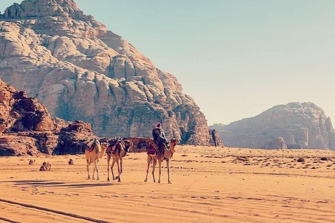 Salma Desert Camp - Housity